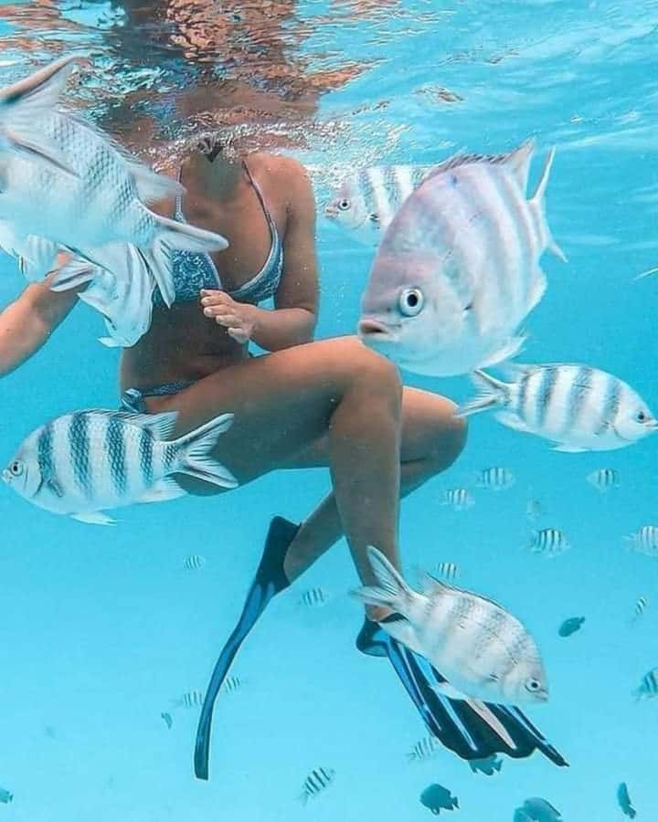 Zanzibar: Snorkeling at blue lagoon & Star fish tour - Gear, fit, and how to make snorkeling feel easy