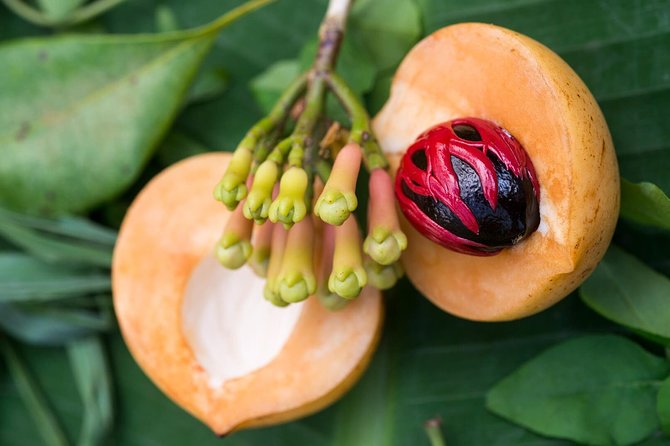 Zanzibar Spice Farm Half-Day Walking Tour - Tour logistics that matter: pickup, private group, and a mobile ticket