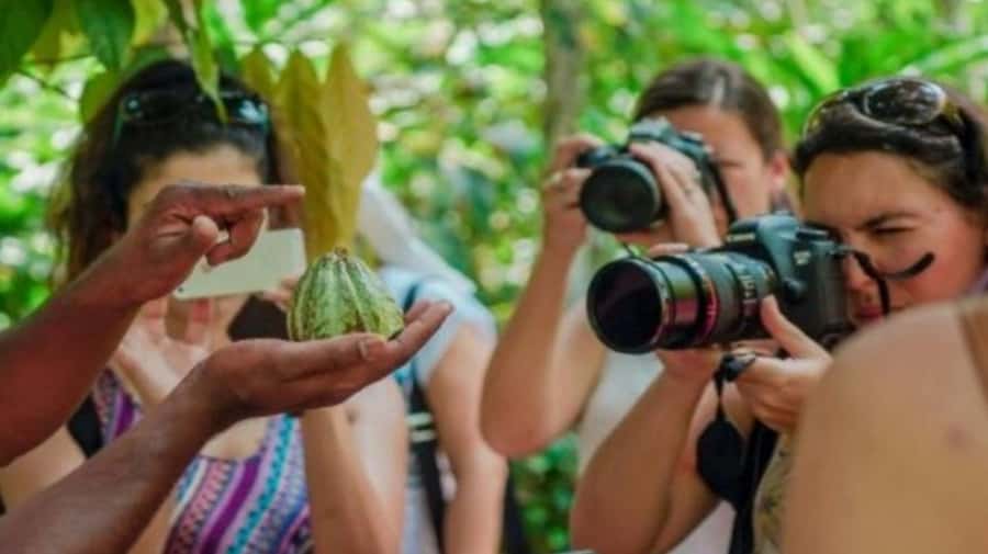 Zanzibar: Spice Farm, Jozani Forest & Sea Turtle Sanctuary - Who Should Book This Tour, and Who Should Skip It