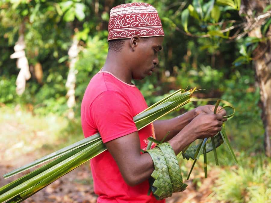 Zanzibar: Spice Farm, Stone Town & Prison Island with Lunch - Who this tour is best for, and who should adjust expectations