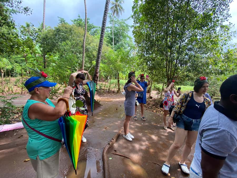 Zanzibar: Spice Farm & Stone Town Tour with Lunch - Value check: does $50 include enough for a full day?