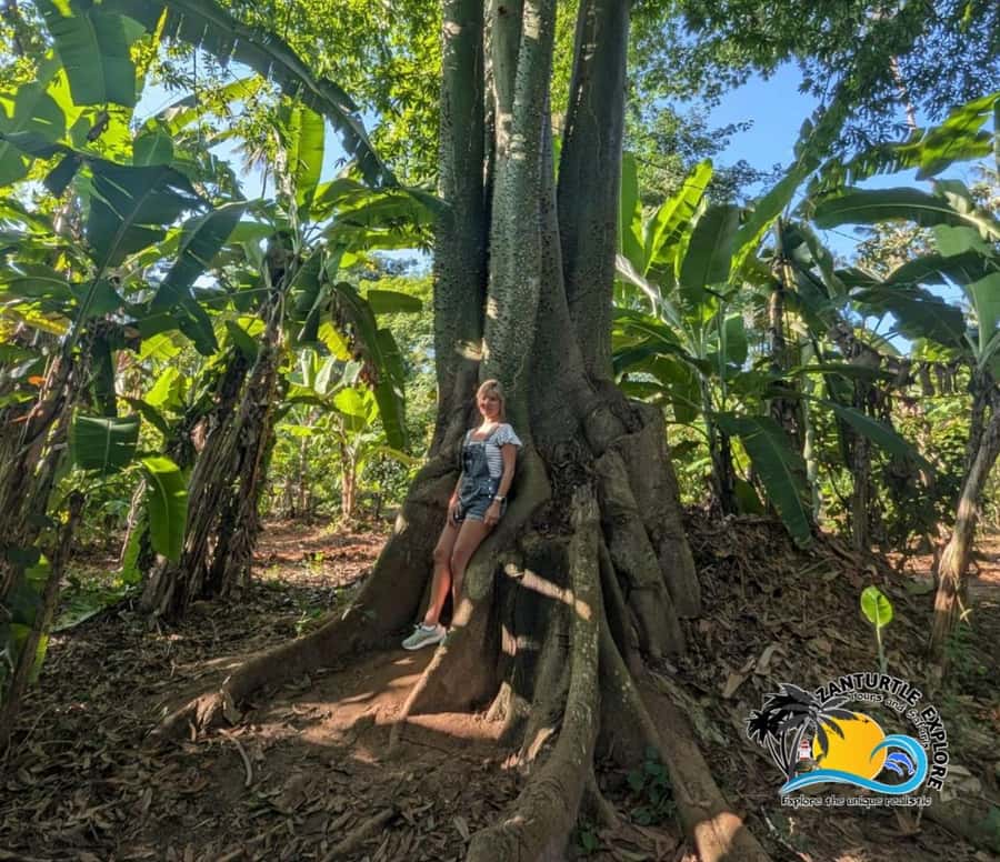 Zanzibar: Spice Farm Tour and Cooking Class with Lunch - Logistics That Can Affect Your Day: Pickup Timing and Cash Prep