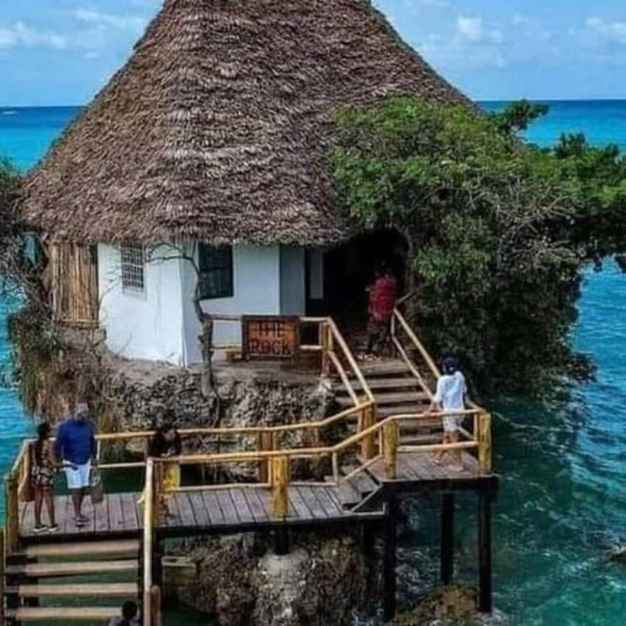 ZANZIBAR: Spice Farm Tour, Jozani Forest & Rock Restaurant - Who This Tour Fits Best (and Who Might Skip It)