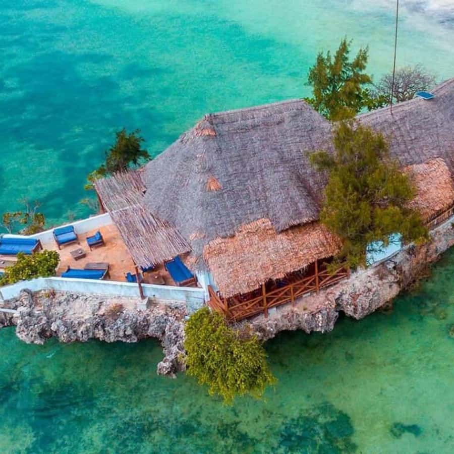 ZANZIBAR: Spice Farm Tour, Jozani Forest & Rock Restaurant - Jozani Chwaka Bay National Park and Red Colobus Monkey Time