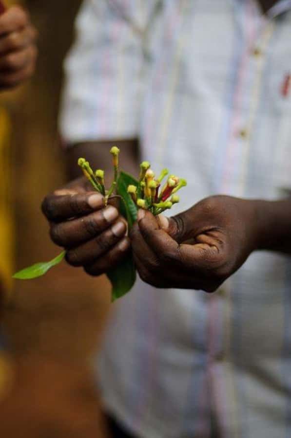 Zanzibar: Spice Farm Tour & Stone Town Adventure - Price and value for $95, what you get without extra surprises
