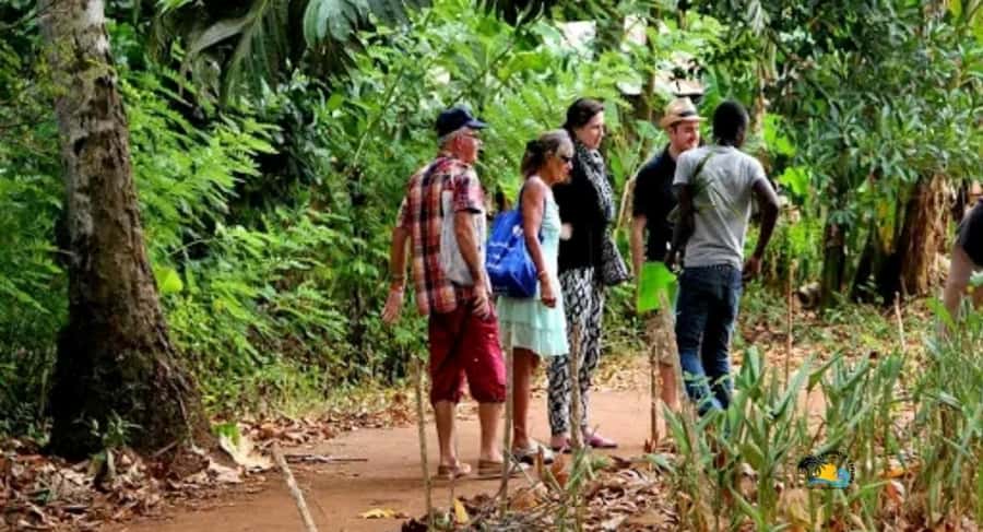 Zanzibar: Spice Farm Tour with Cooking lesson - Darajani Market start: ingredients and local life before the farm
