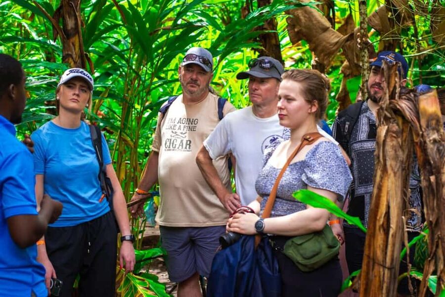 Zanzibar: Spice Farm Tour with Lunch & Tropical Fruits - Key highlights at a glance
