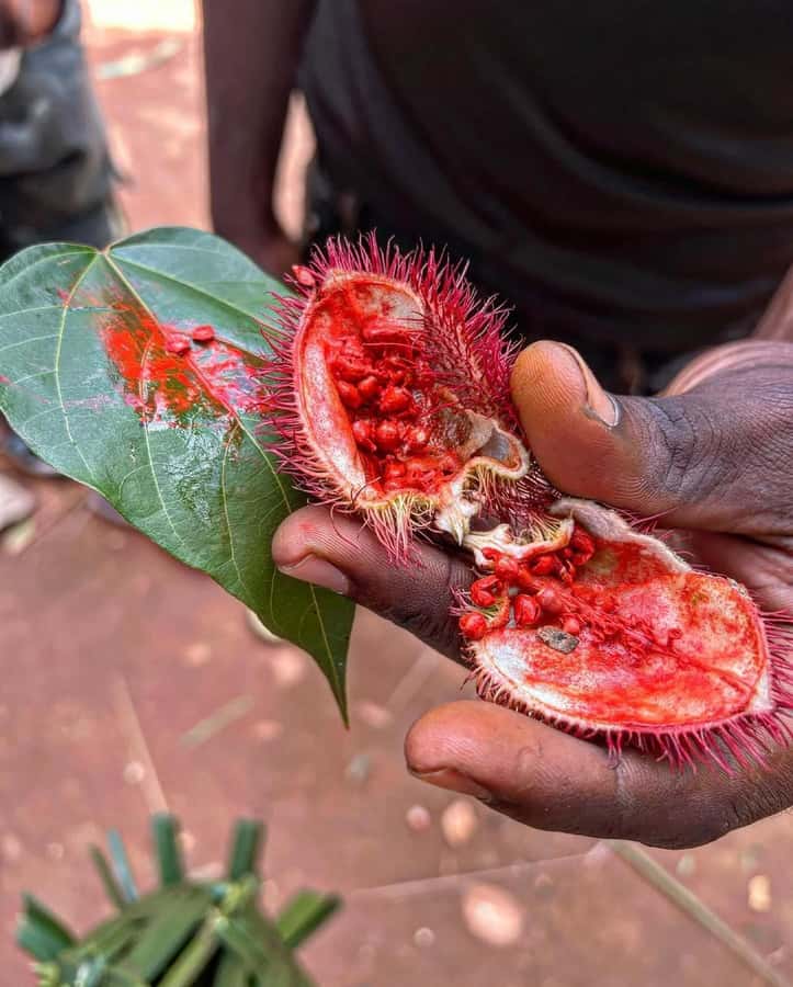 Zanzibar Spice Tour &Cooking Class with Lunch Pickup Include - Key highlights at a glance
