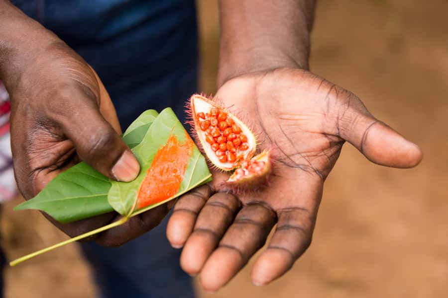 Zanzibar Spice Tour &Cooking Class with Lunch Pickup Include - Why Zanzibar’s spice farm experience feels different