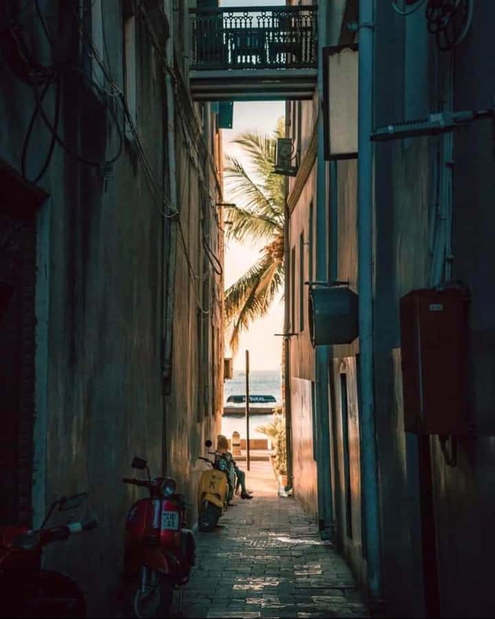 Zanzibar: Spice Tour & Stone Town Walking Tour - Price, Practicalities, and How to Get the Most for $95