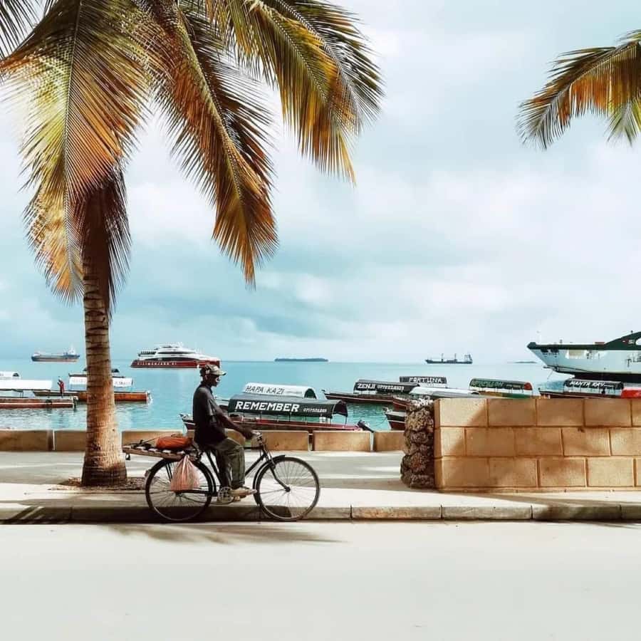 Zanzibar: Spice Tour & Stone Town Walking Tour - Should You Book This Spice and Stone Town Tour?