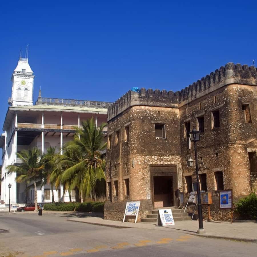 ZANZIBAR: Stone Town and Jozani Forest Guided Tour - Stone Town Walking: UNESCO Lanes, Markets, and Freddie Mercury