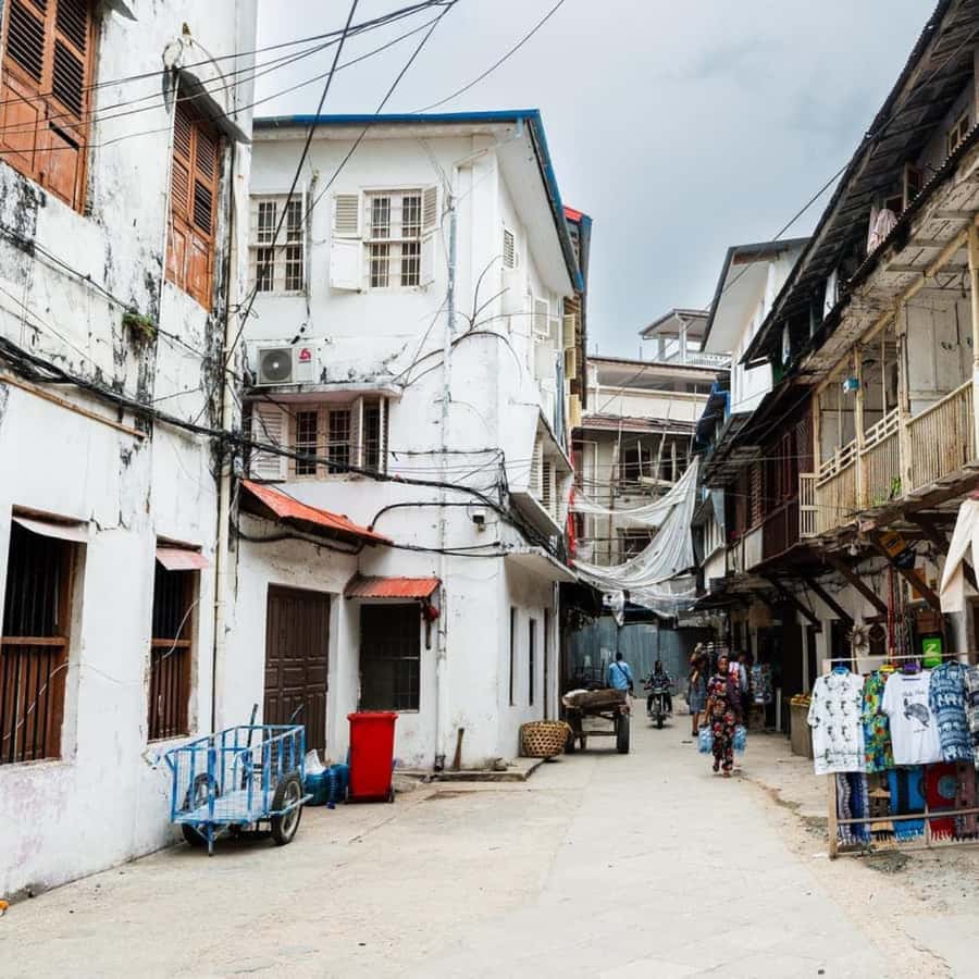 ZANZIBAR: Stone Town and Jozani Forest Guided Tour - The Transfers That Make the Day Work (and What to Expect)