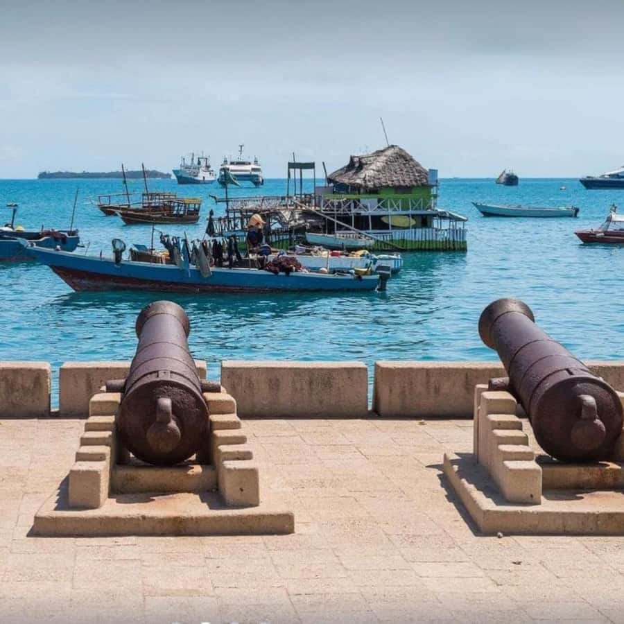 ZANZIBAR: Stone Town and Jozani Forest Guided Tour - Price and Value at $70 Per Person