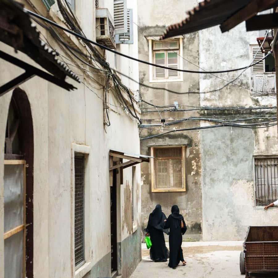 ZANZIBAR: Stone Town and Jozani Forest Guided Tour - Who This Tour Suits Best (and One Reason to Reconsider)
