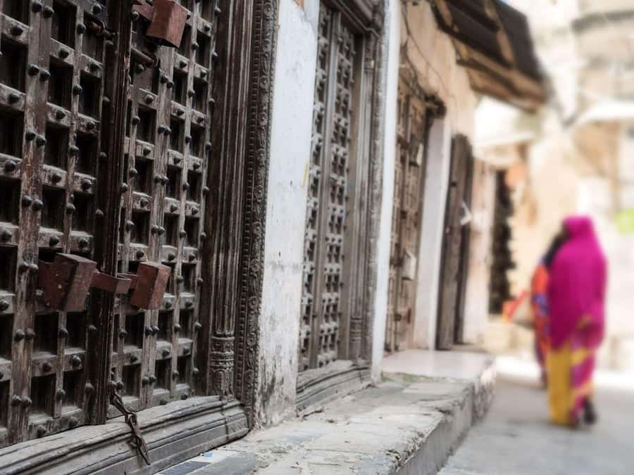 Zanzibar: Stone Town City Tour and Spice Farm with Lunch - Who this Stone Town and spice farm tour fits best