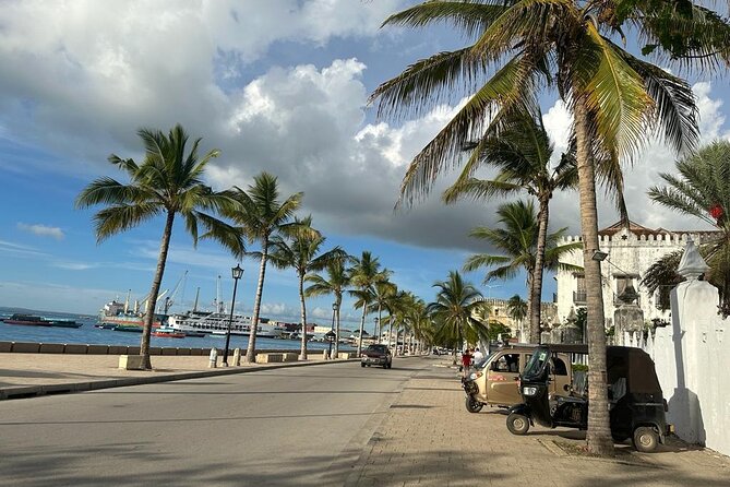 Zanzibar Stone Town Highlight walking tour - WiFi on Board and Mobile Ticket, Small Comforts That Help