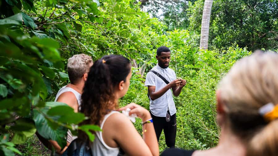 Zanzibar: Stone Town, History and Jozani Forest Guided Tour - Key highlights to know before you go