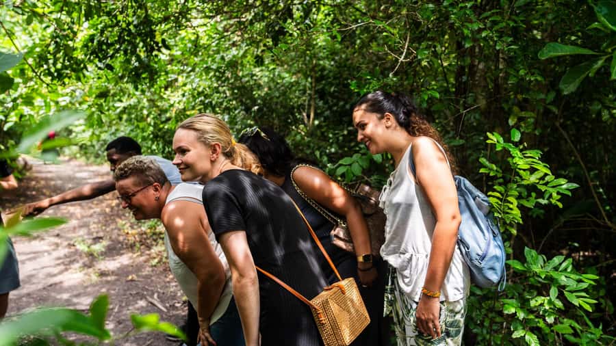 Zanzibar: Stone Town, History and Jozani Forest Guided Tour - Stone Town plus Jozani in 5.5 hours: the smart pairing