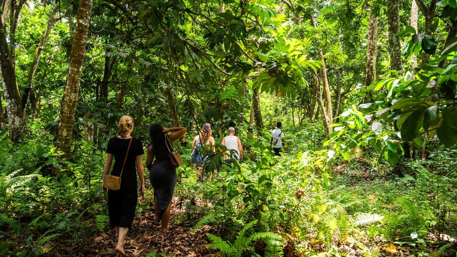 Zanzibar: Stone Town, History and Jozani Forest Guided Tour - Old Slave Market and Anglican Cathedral: what to expect on this stop
