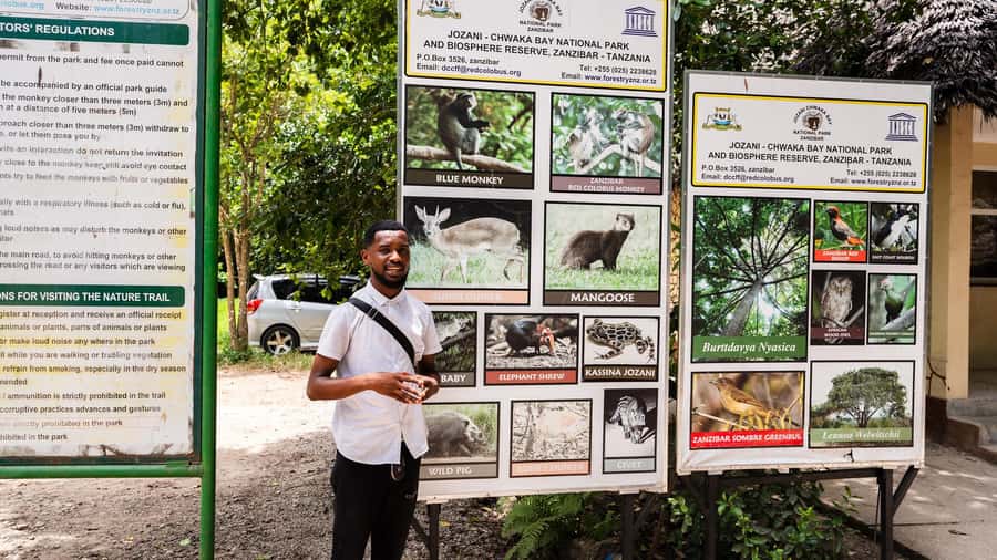 Zanzibar: Stone Town, History and Jozani Forest Guided Tour - Small tips that make this tour smoother