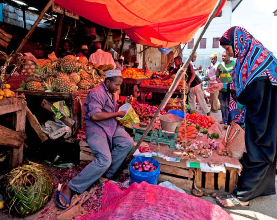 Zanzibar: Stone Town History Walking Tour with a Local Guide - Entering the Story Behind Stone Town’s Landmarks