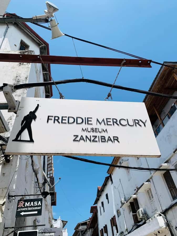 Zanzibar: Stone town Insights & Jozani forest Exploration - Jozani Forest Walk With Red Colobus Monkeys