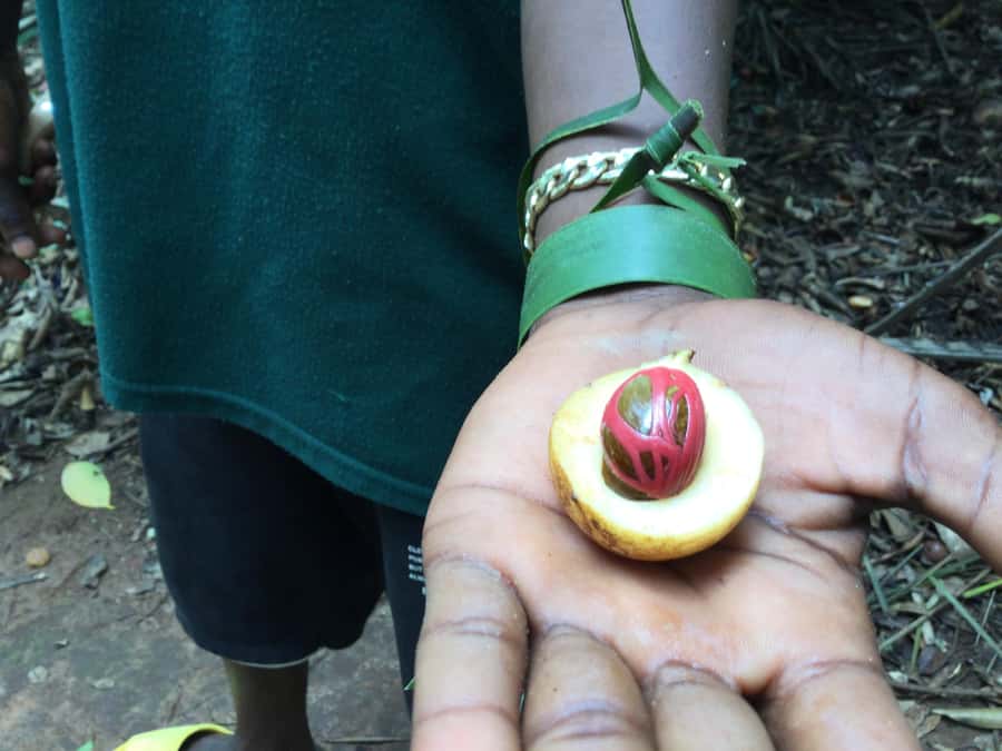 Zanzibar:Stone Town & Spice Farm Private Tour Lunch Included - Stone Town by foot: major sights, tight streets, real atmosphere