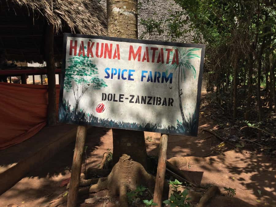 Zanzibar:Stone Town & Spice Farm Private Tour Lunch Included - City Market, fish auction, and the Old Slave Market site in one flow