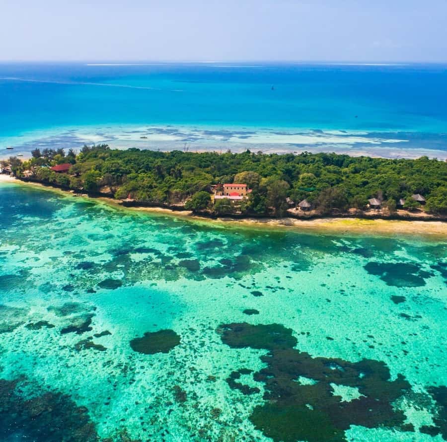 Zanzibar: Stone Town, Spice tour & Prison Island with Lunch - Spice farm sensory tour: touch, smell, taste, and connect to real Zanzibar life