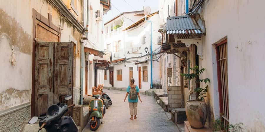 ZANZIBAR, Stone town tour, Prison Island & Spice farm - Prison Island, changuu: Aldabra giant tortoises and the 1860s prison story
