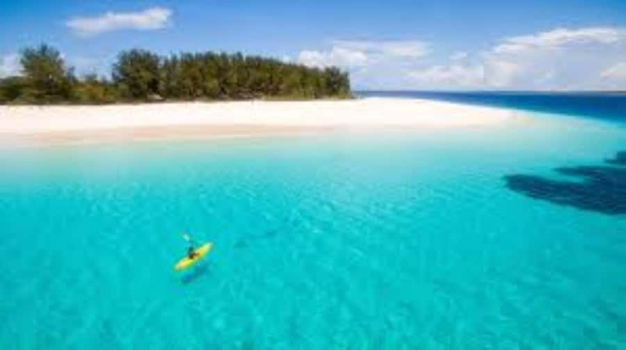 Zanzibar: Stone Town Walking Tour with Freddie Mercury … - Price and logistics: is $44 good value?