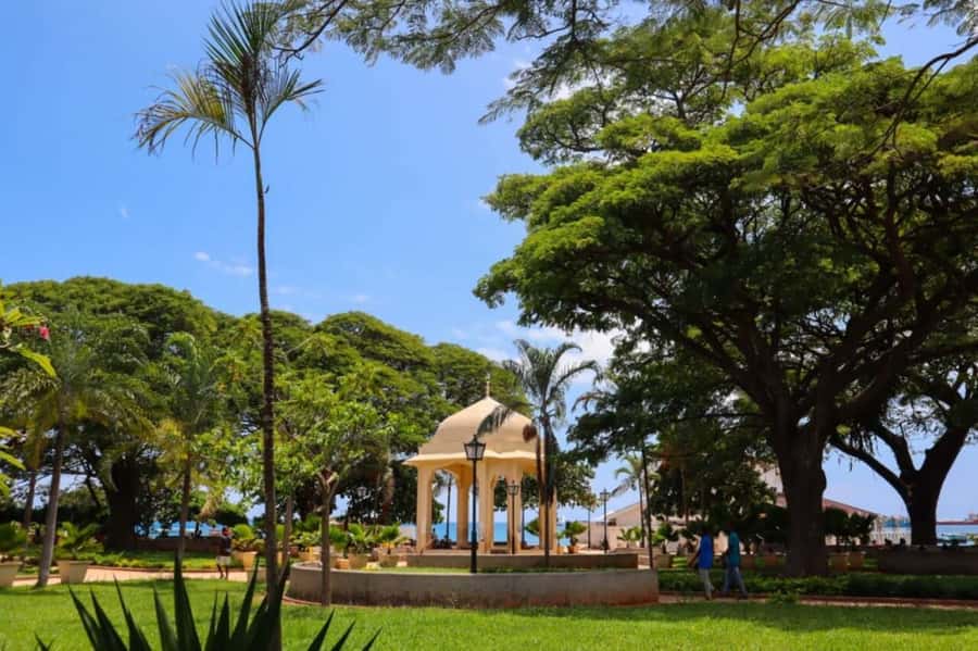 Zanzibar: Stone Town Walking Tour with Guide - The coral-stone lane moment, and why it matters