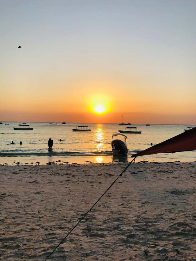 Zanzibar: Sunset Dhow Cruise - Who should book this Zanzibar sunset dhow cruise