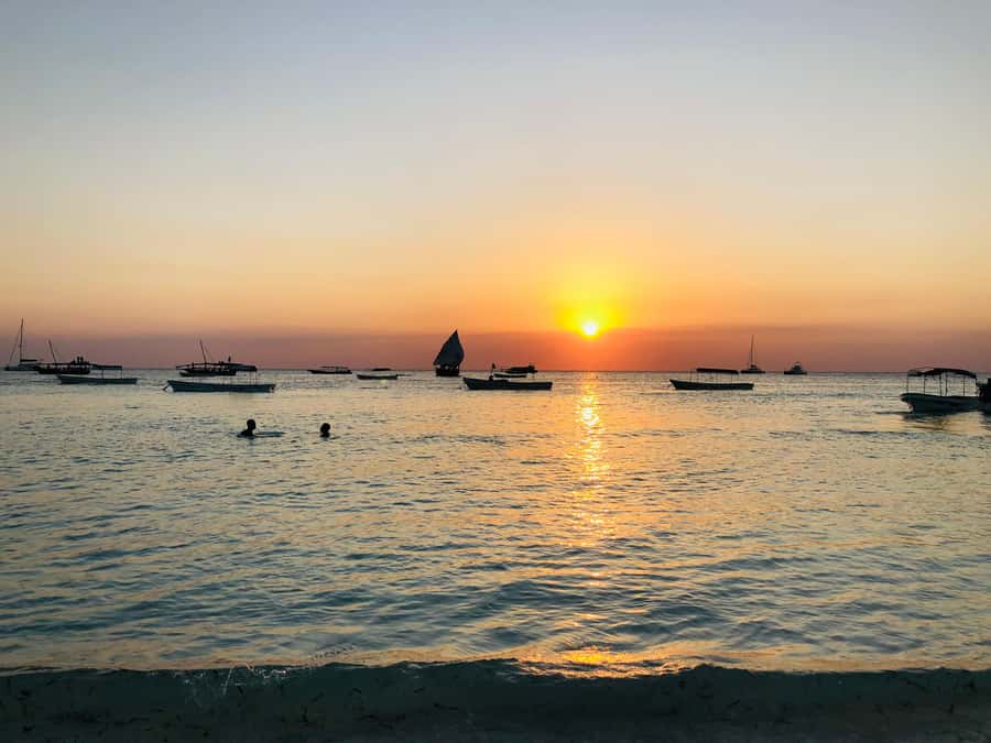 Zanzibar: Sunset Dhow Cruise With Pick Up - What to bring, and the rules that keep things smooth