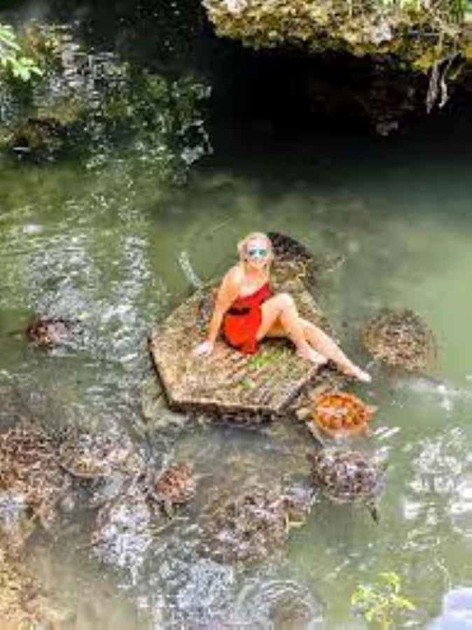 Zanzibar: Swim with Sea Turtles at Baraka or Salaam Aquarium - Photos and videos: what to bring, and what costs extra