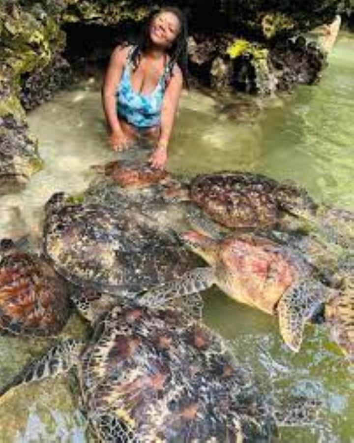 Zanzibar: Swim with Sea Turtles at Baraka or Salaam Aquarium - Price and value: is $80 worth it?