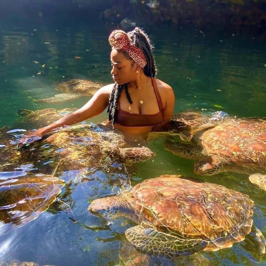 Zanzibar: Swim with turtles at Nungwi - Who should book this, and who might prefer something else