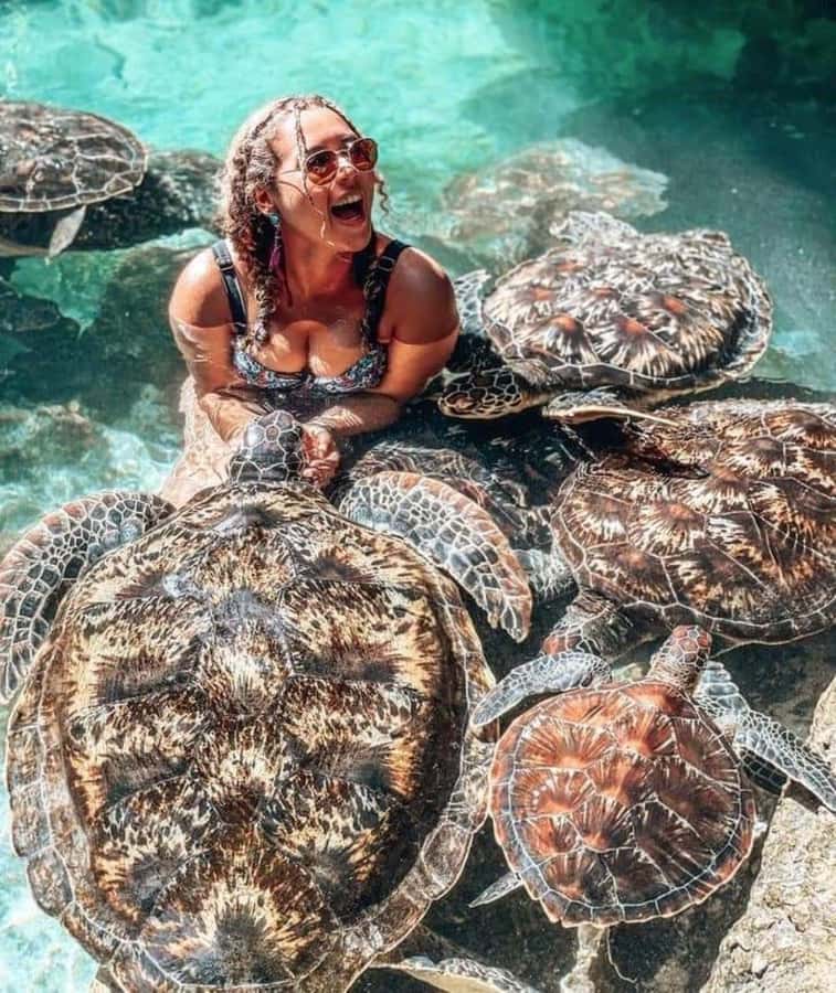 Zanzibar: Swim with turtles at Nungwi - Tips for getting more out of your turtle swim