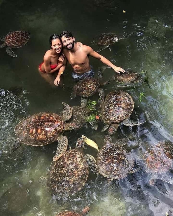 Zanzibar: Swim with turtles at Nungwi - Should you book Zanzibar swim with turtles at Nungwi?