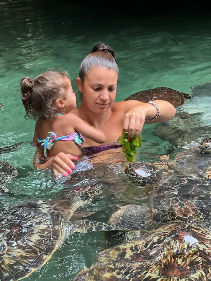 Zanzibar: Swim with Turtles Sanctuary Tour - Meeting at Baraka Aquarium Bungalows, Nungwi