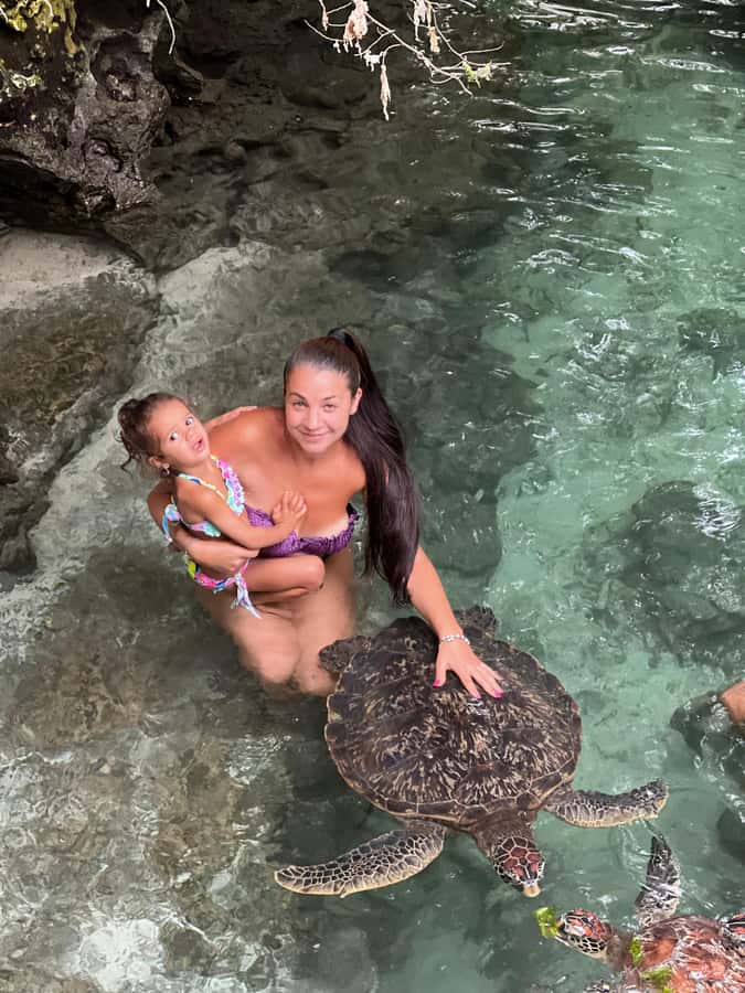 Zanzibar: Swim with Turtles Sanctuary Tour - Best time to go: early calm vs late-day color