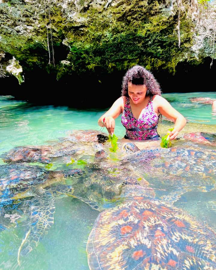 Zanzibar: Swim with Turtles Sanctuary Tour - Your lagoon time: what happens once you’re in the sanctuary