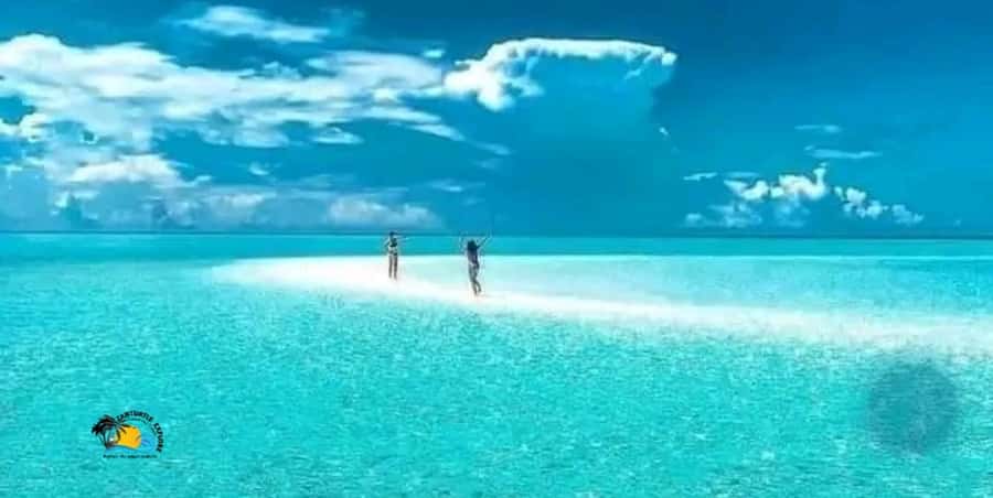 Zanzibar: Swimming & Snorkeling at Mnemba Atoll with Fruits - Logistics that can make the day smoother (or not)