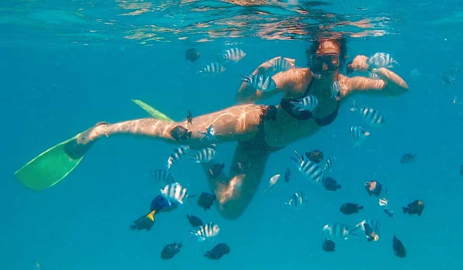 Zanzibar Swimming with Dolphins and snorkeling - Why Kizimkazi Is the Right Place to Swim With Dolphins