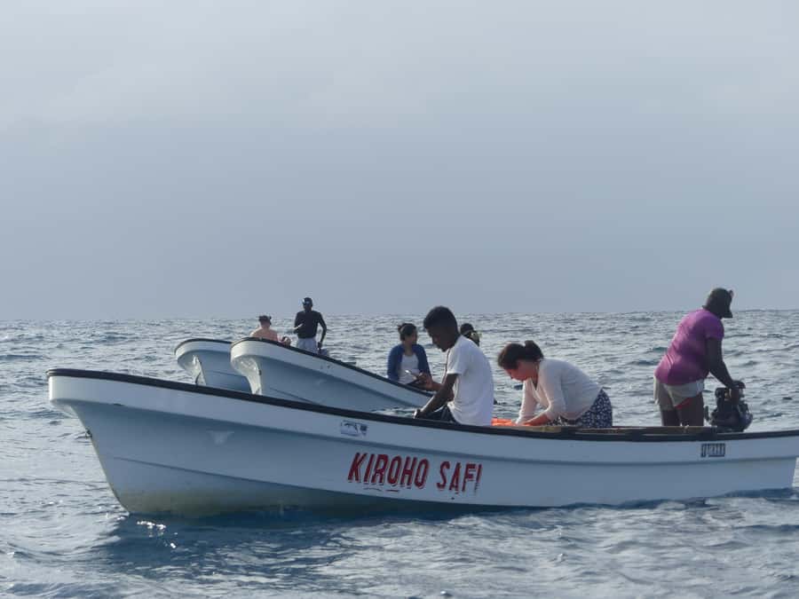 Zanzibar: Swimming with Dolphins and Snorkeling Private Tour - Where you go on the island: Matemwe or Kizimkazi