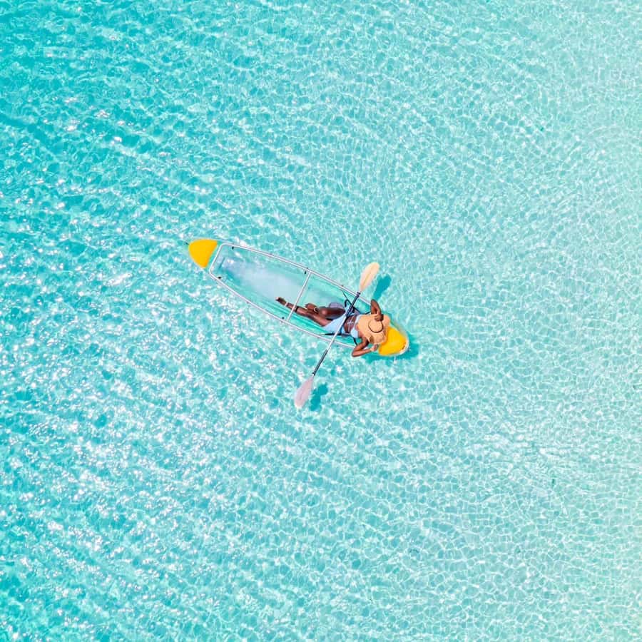 Zanzibar: Swimming With Horse and Clear Kayaking Tour - Key things you’ll care about