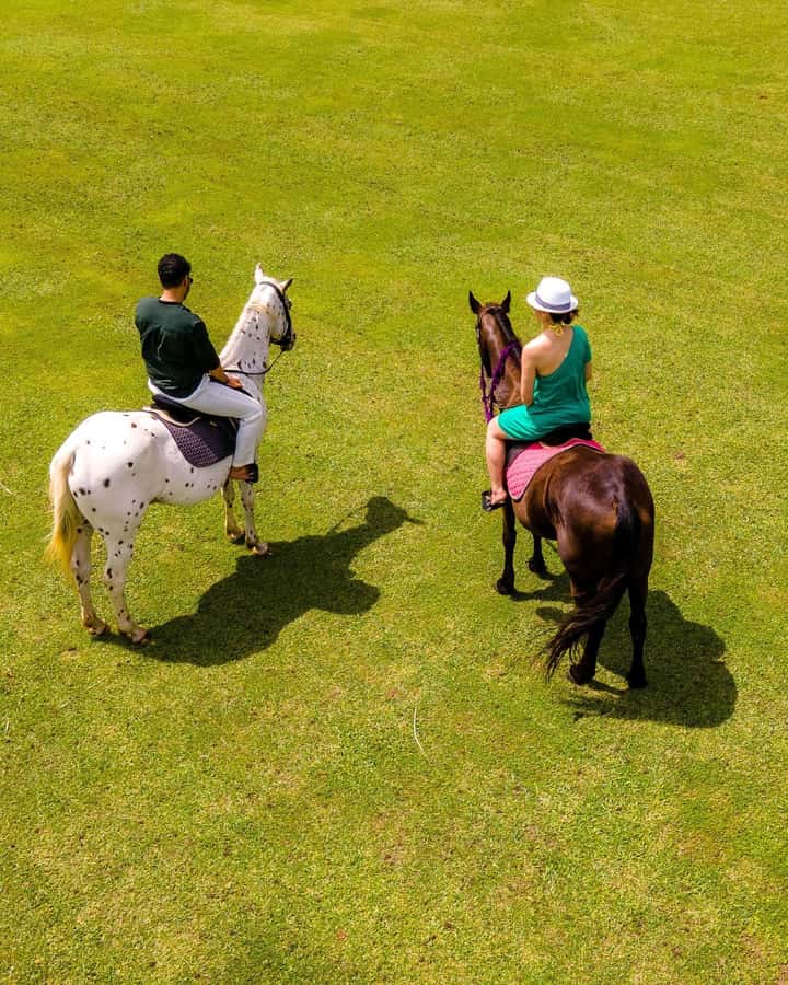 Zanzibar: Swimming With Horse and Clear Kayaking Tour - Horse swimming off Pwani Mchangani or Nungwi Beach