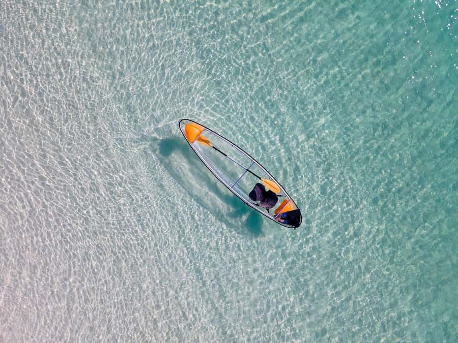 Zanzibar: Swimming With Horse and Clear Kayaking Tour - Who this tour is best for