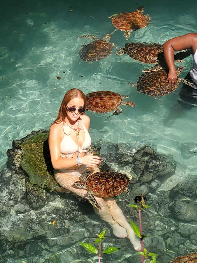 Zanzibar: Swimming with Sea turtles at Salaam cave - Key highlights worth your attention